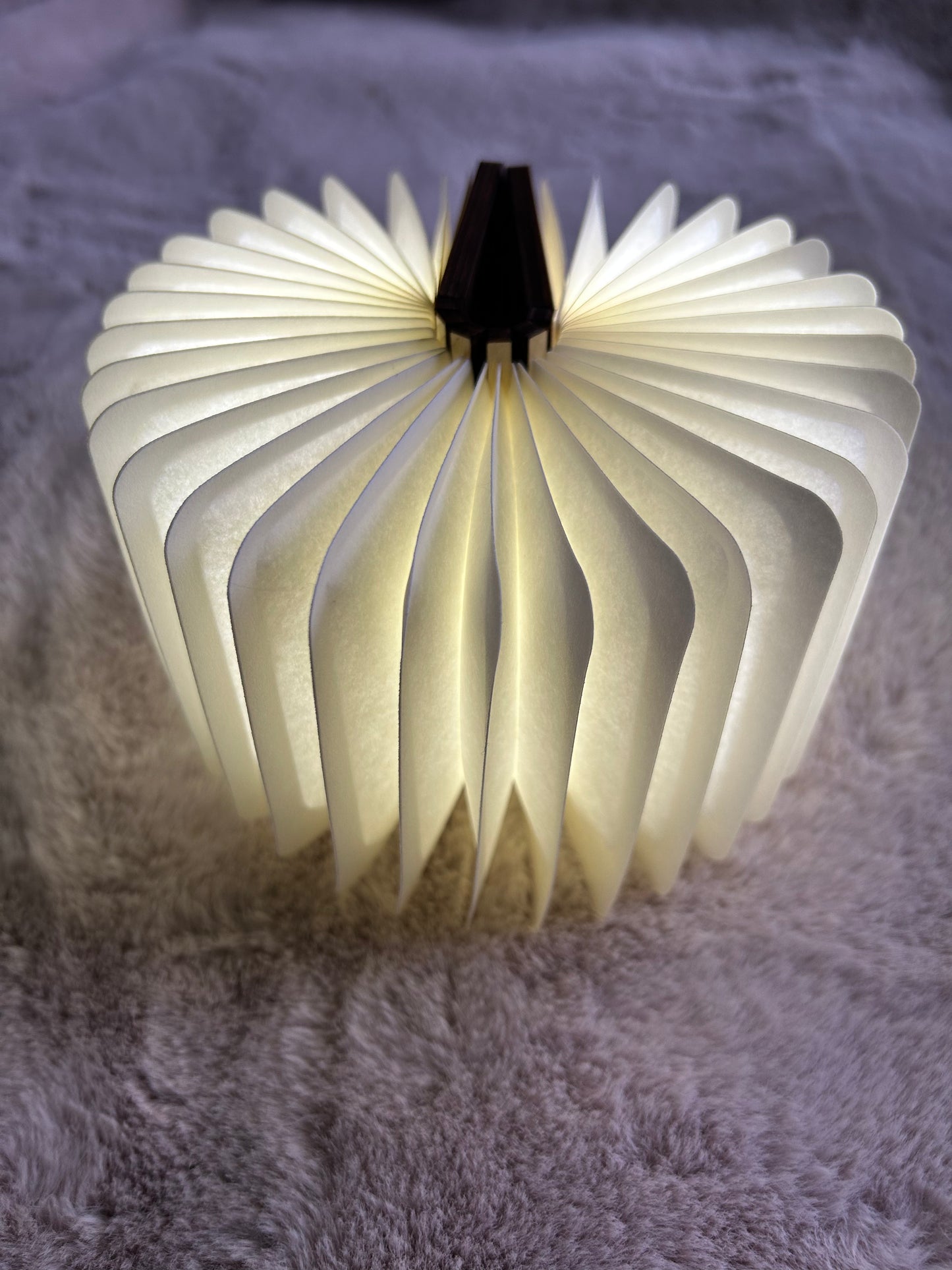 Book Lamp